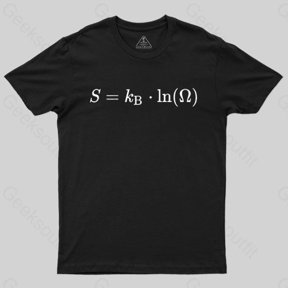 Boltzmann Entropy, statistical physics and thermodynamics T-shirt